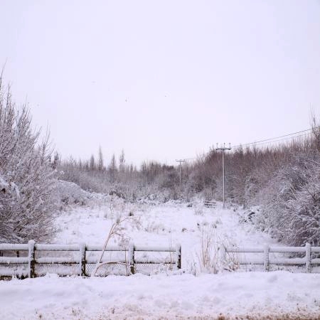 Temporary example photograph of a snow-covered landscape